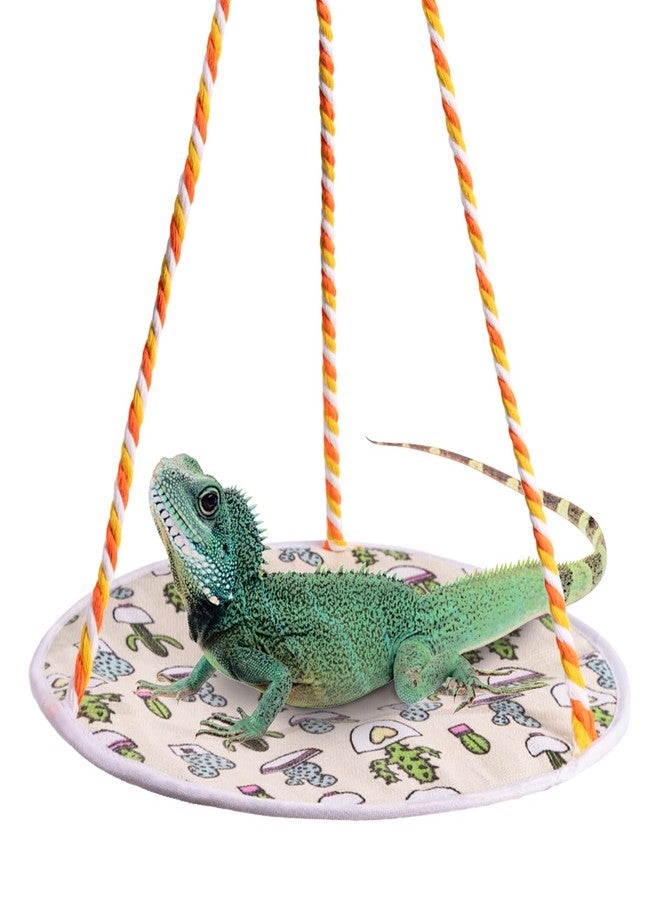 أرجوحة Swirge Lizard Swing Hammock، مقاس 15.7 × 9.8 بوصة، أرجوحة تسلق معلقة للزواحف، مناسبة للتنين الملتحي، والسحلية، والوزغة، والثعبان (نبات الصبار الأخضر) - Image 1